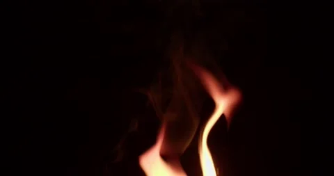 Fire on a black background Video stock 237883683