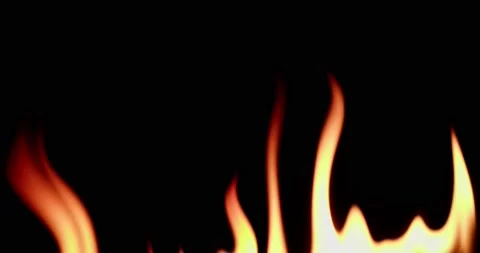 Fire on a black background Video stock 239969320