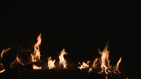Fire on black background. Stock Footage 253759232