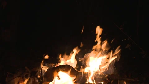 Fire on black background. Stock Footage 253759247