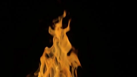 Fire on black background. Isolated fire on black background. Flame on black Stock Footage 312750302