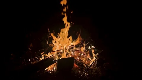 Fire on black background. Isolated fire on black background. Flame on black Stock Footage 312802996