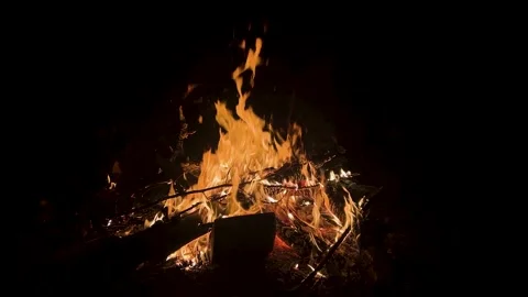 Fire on black background. Isolated fire on black background. Flame on black Stock Footage 313754376