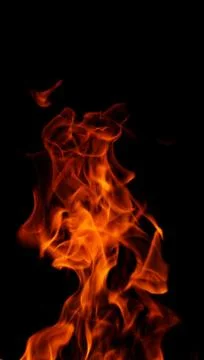 Fire on black background Stock Photos