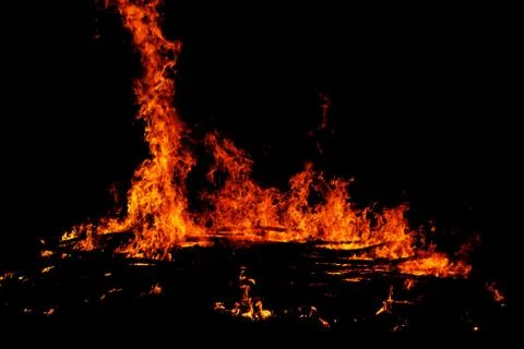 Fire on black background Stock Photos