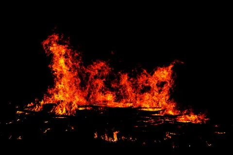 Fire on black background Stock Photos