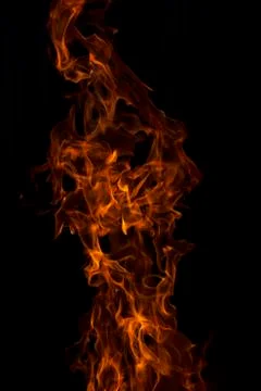 Fire on a black background Stock Photos