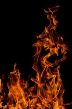 Fire on a black background Stock Photos