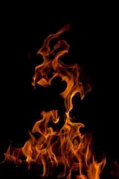 Fire on a black background Stock Photos