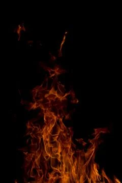 Fire on a black background Stock Photos