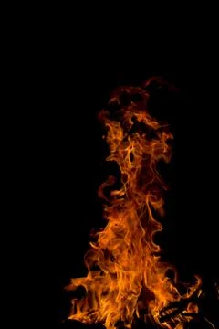Fire on a black background Stock Photos