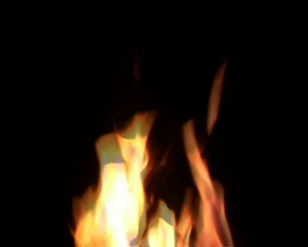Fire on black 動画素材 830076