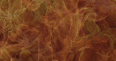 Fire blasts on black background. Flying Embers. Closeup of burning Stock Footage 261459088
