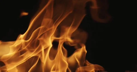 Fire blasts on black background. Flying Embers. Closeup of burning Stock Footage 261459114
