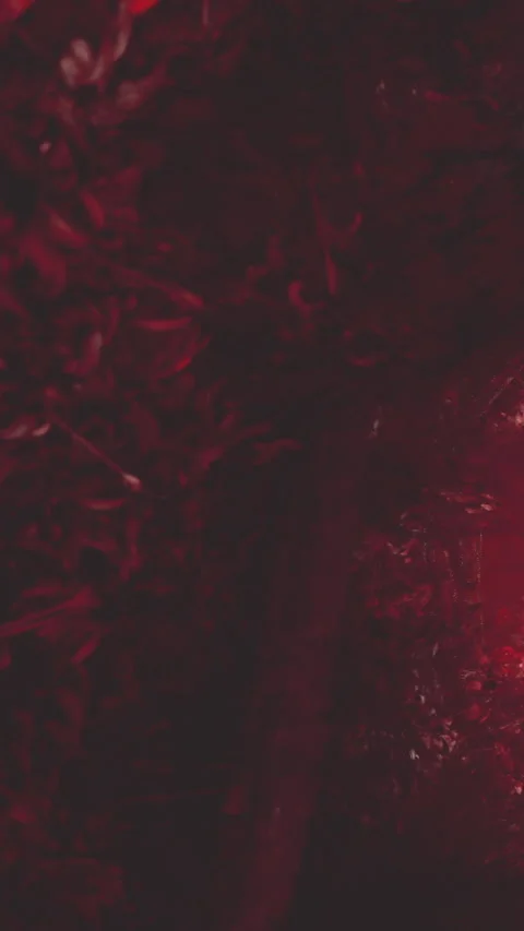 Fire blaze burns in dark surroundings creating bright light Stock Footage 337999158