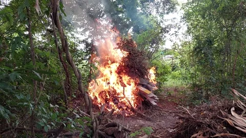 The fire blazed and burned the branches Stock-Footage 260315256