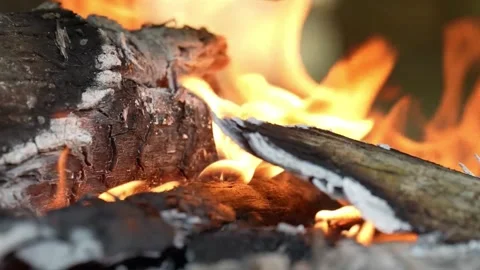 Fire blazes from burning wood Stock Footage 274494162