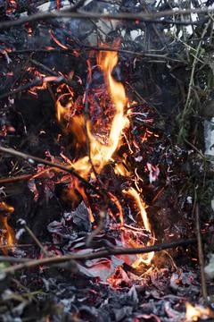 Fire blazing from a bonfire Foto stock
