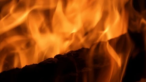 Fire bonfire background Video stock 103837427