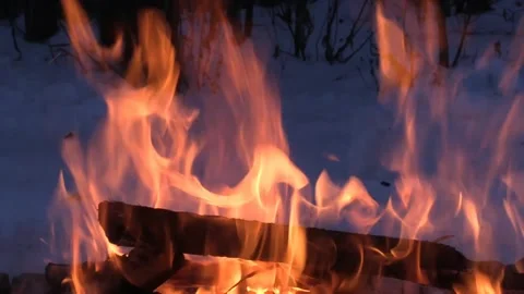 Fire. Bonfire on the background of the night forest C. Vidéo 148168903