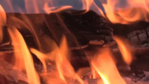 Fire. Bonfire on the background of the night forest D. 스톡 동영상 148168905