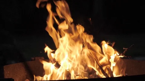 Fire bonfire burning for barbecue Видео 106092400