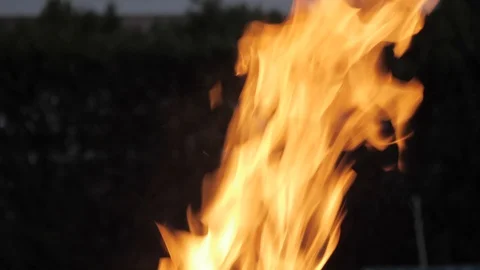 Fire bonfire burning for barbecue Видео 106092498