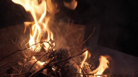 Fire bonfire burning for barbecue Видео 106092500