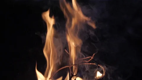 Fire bonfire burning for barbecue Видео 106092584
