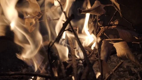 Fire bonfire burning for barbecue Видео 106092611