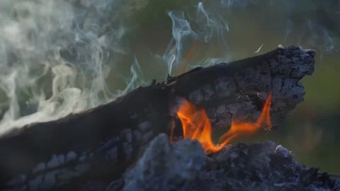 Fire bonfire. Close-up shot of the flames burning in slow motion Video stock 147166589