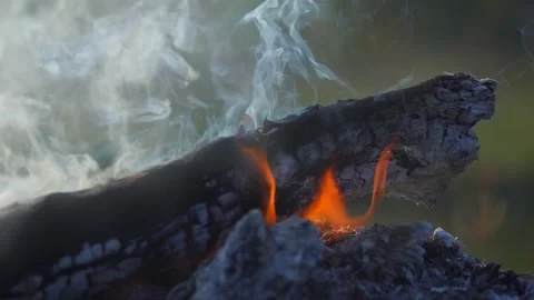 Fire bonfire. Close-up shot of the flames burning in slow motion Video stock 147166599