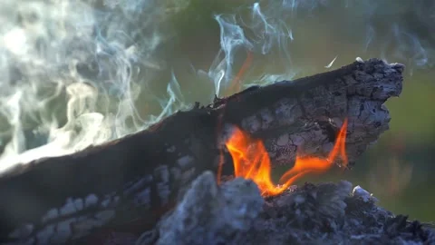 Fire bonfire. Close-up shot of the flames burning in slow motion Video stock 147166632