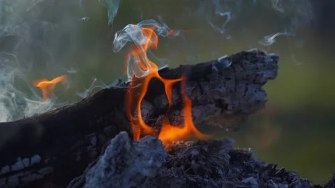 Fire bonfire. Close-up shot of the flames burning in slow motion Video stock 147166658