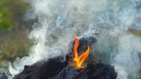 Fire bonfire. Close-up shot of the flames burning in slow motion Video stock 147166680