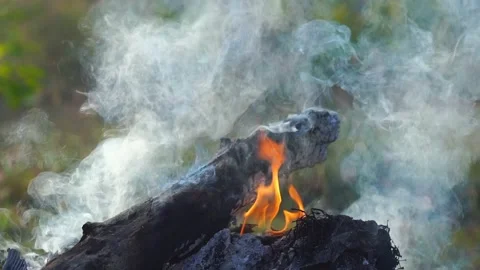 Fire bonfire. Close-up shot of the flames burning in slow motion Video stock 147173918