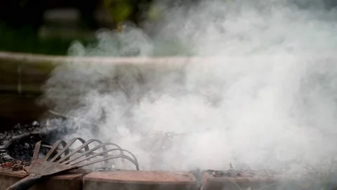 Fire bonfire. Close-up shot of the flames burning in the garden. Video stock 220761143