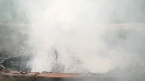 Fire bonfire. Close-up shot of the flames burning in the garden. Video stock 220761144