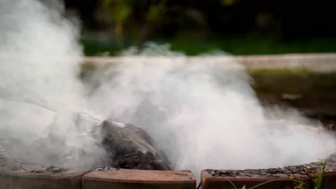Fire bonfire. Close-up shot of the flames burning in the garden. Video stock 220761150