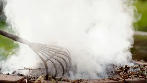 Fire bonfire. Close-up shot of the flames burning in the garden. Video stock 220761160