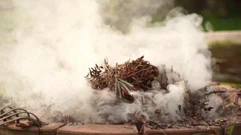 Fire bonfire. Close-up shot of the flames burning in the garden. Video stock 220761249