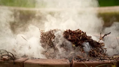 Fire bonfire. Close-up shot of the flames burning in the garden. Video stock 220761268