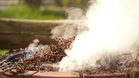 Fire bonfire. Close-up shot of the flames burning in the garden. Video stock 220761273