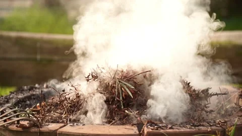 Fire bonfire. Close-up shot of the flames burning in the garden. Video stock 220761277