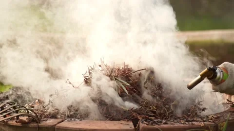 Fire bonfire. Close-up shot of the flames burning in the garden. Video stock 220761279