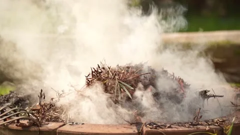 Fire bonfire. Close-up shot of the flames burning in the garden. Video stock 220761299