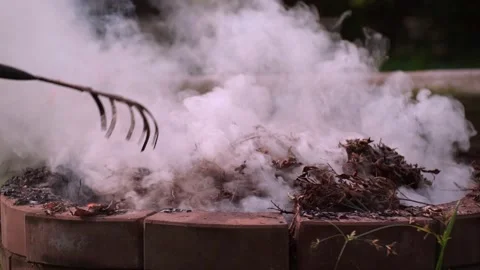 Fire bonfire. Close-up shot of the flames burning in the garden. Video stock 220761944