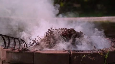 Fire bonfire. Close-up shot of the flames burning in the garden. Video stock 220761973