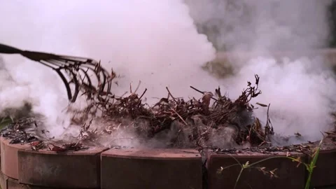 Fire bonfire. Close-up shot of the flames burning in the garden. Video stock 220761984