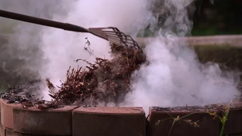 Fire bonfire. Close-up shot of the flames burning in the garden. Video stock 220762006